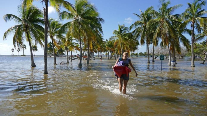 time-lapse-video-shows-dramatic-rise-of-king-tide-key-biscayne-citizen-scientist-project