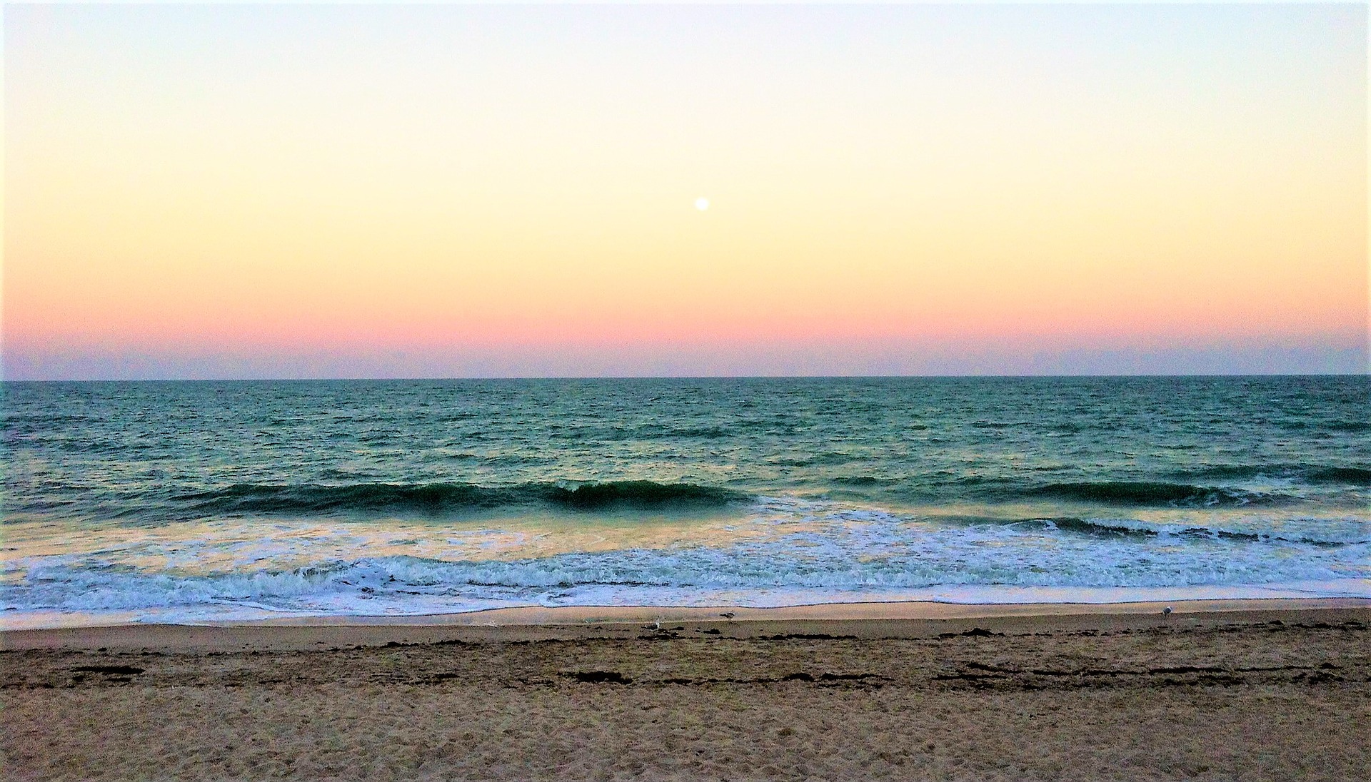 florida-confirms-rare-red-tide-on-state-s-atlantic-coast-key-biscayne-citizen-scientist-project