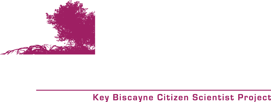 Key Biscayne Citizen Scientist Project's Key Challenge